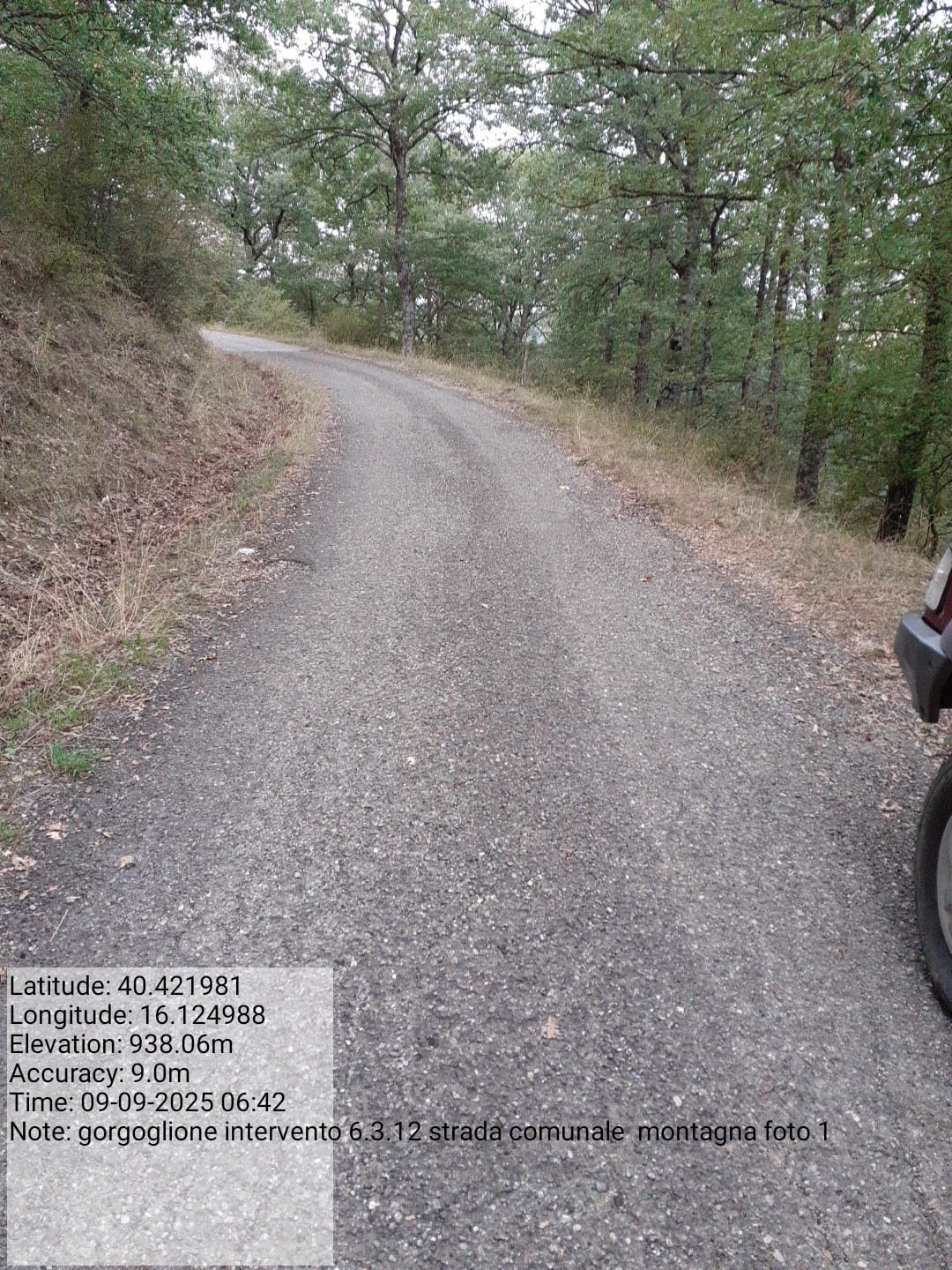 Galleria Fotografica Immagine