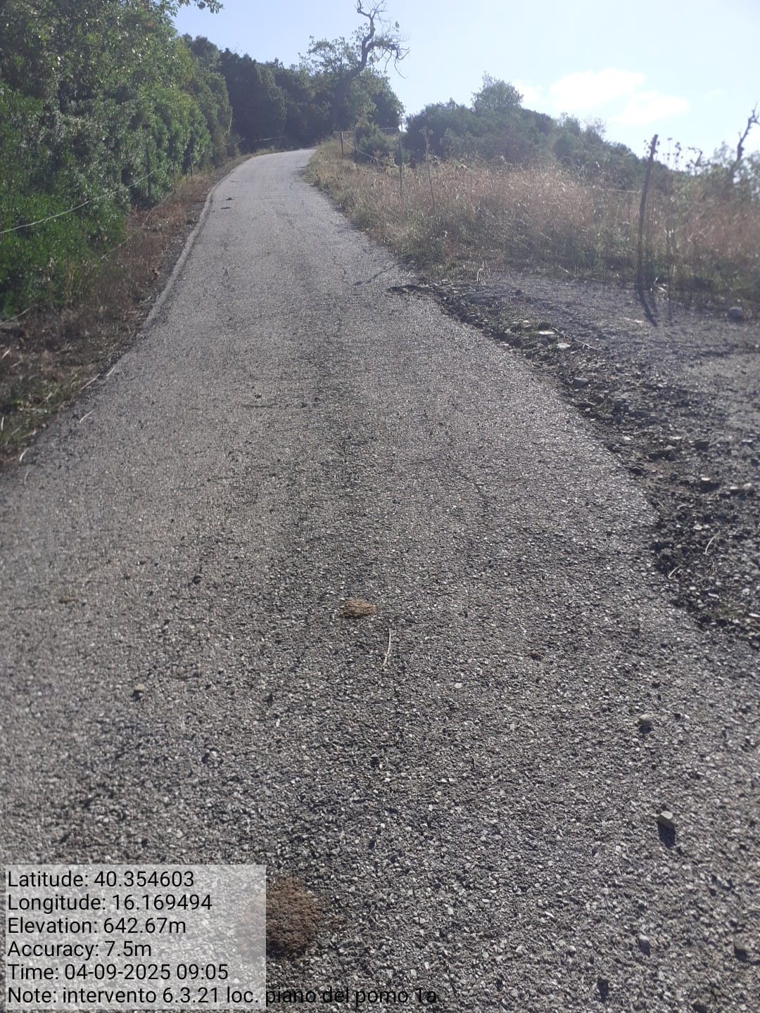 Galleria Fotografica Immagine