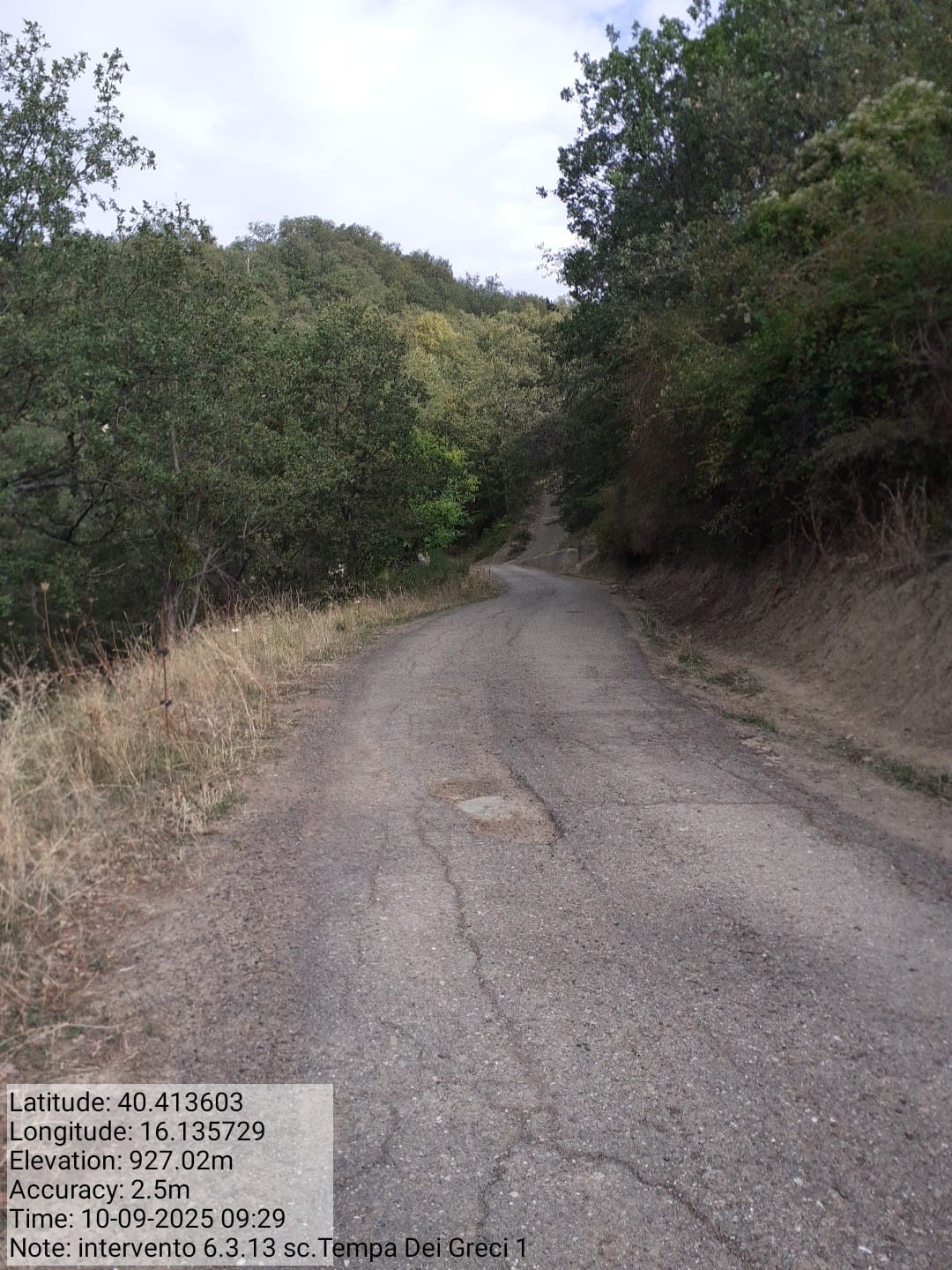 Galleria Fotografica Immagine