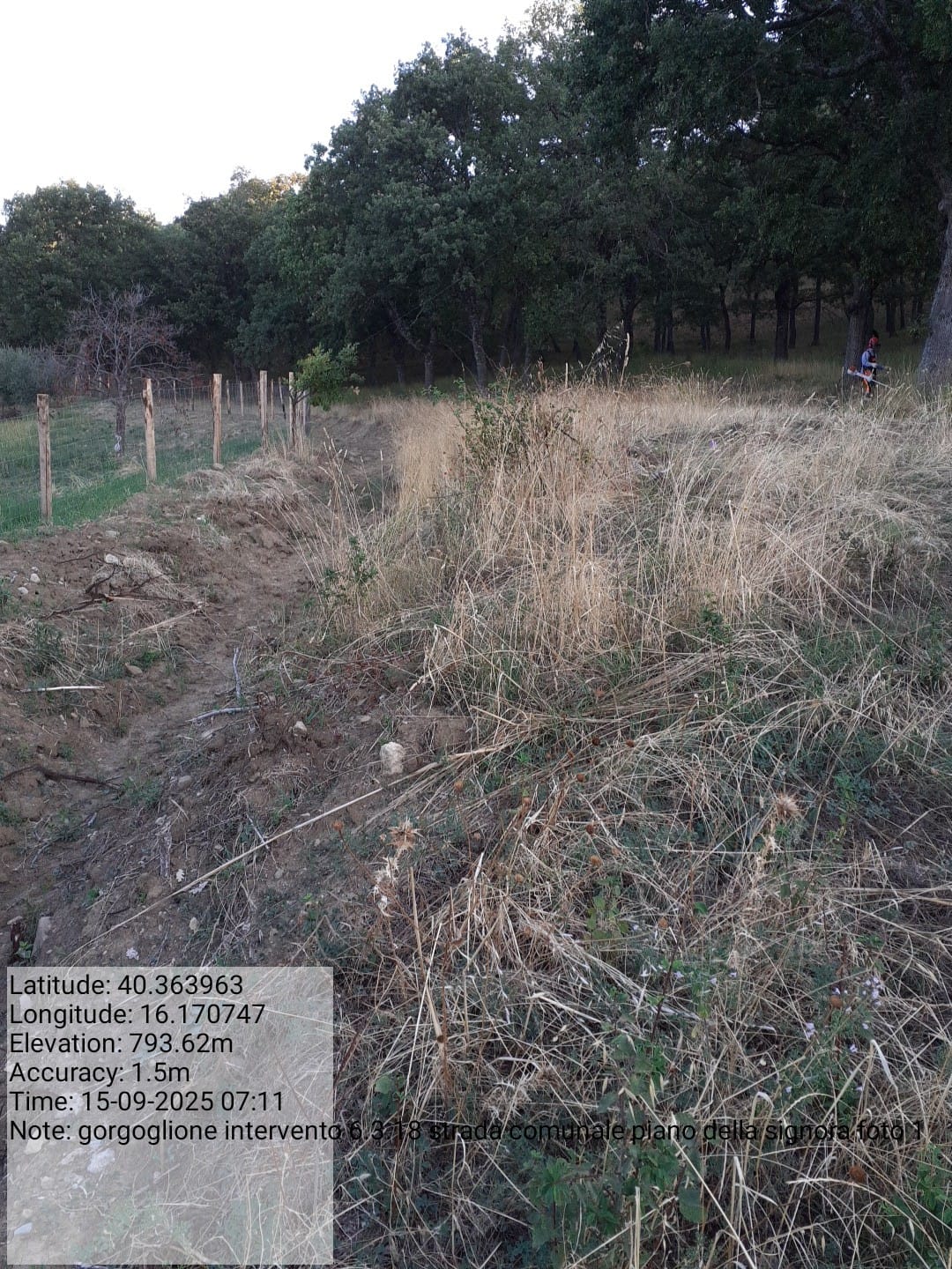 Galleria Fotografica Immagine