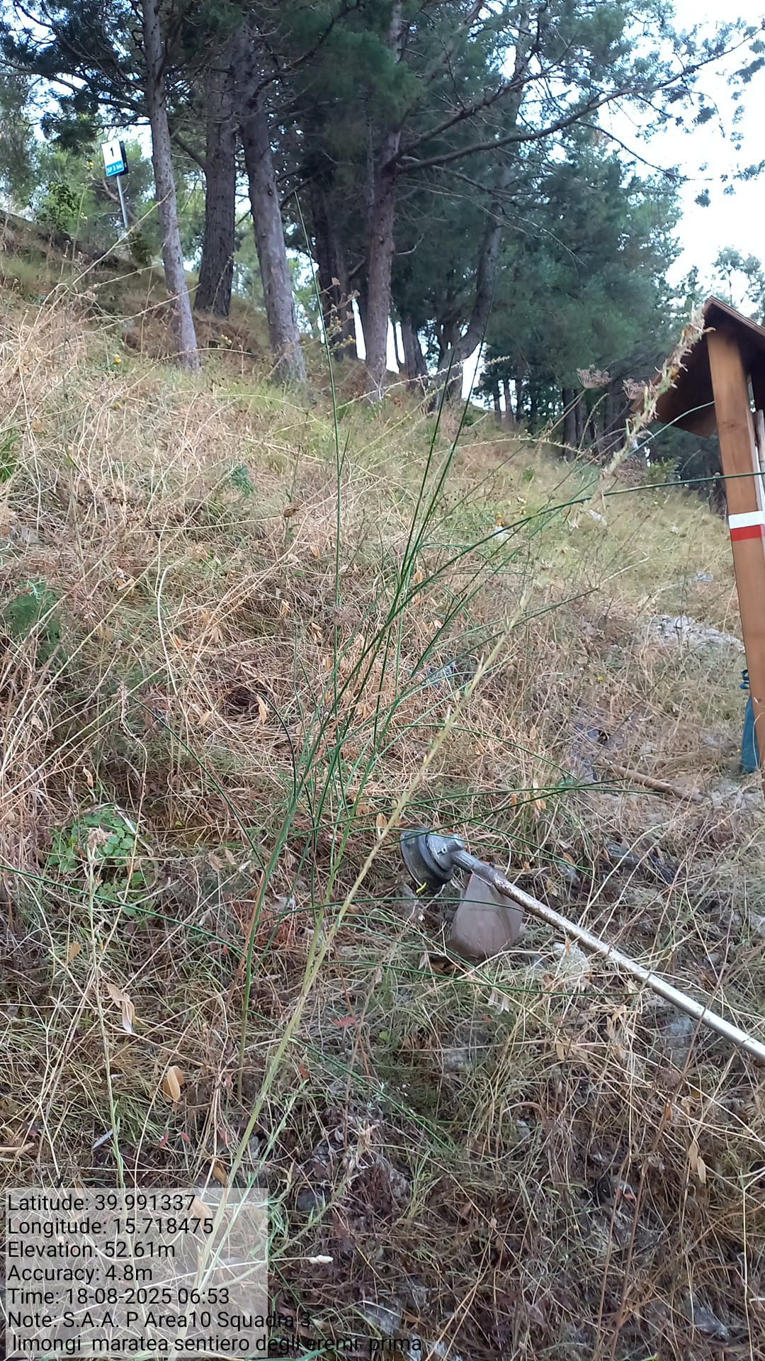 Galleria Fotografica Immagine