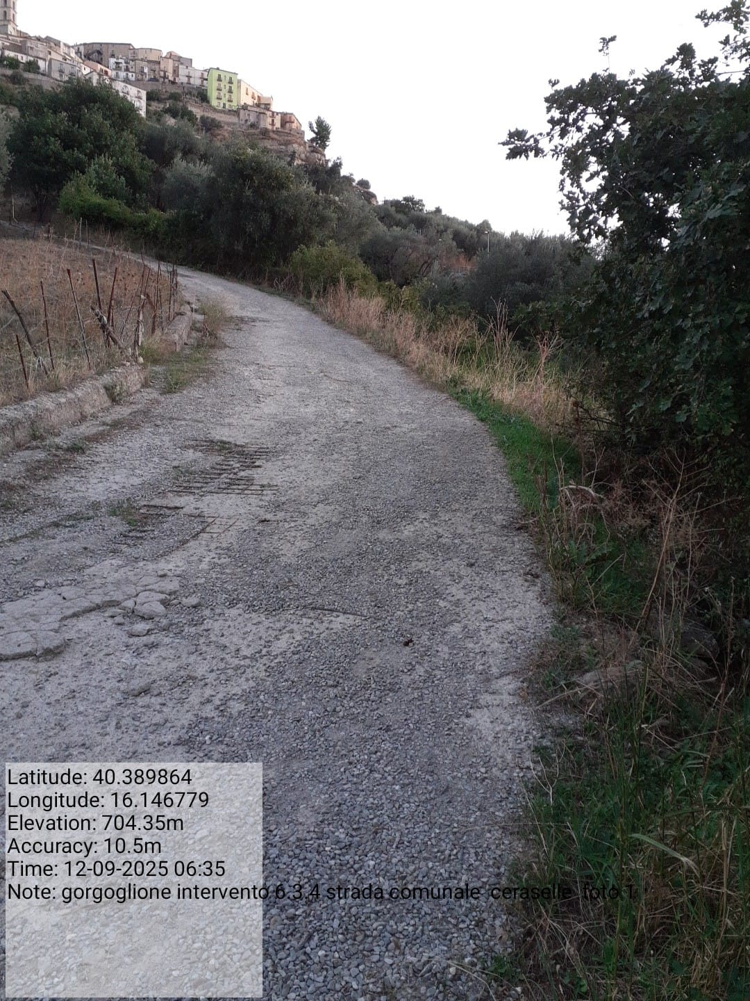 Galleria Fotografica Immagine