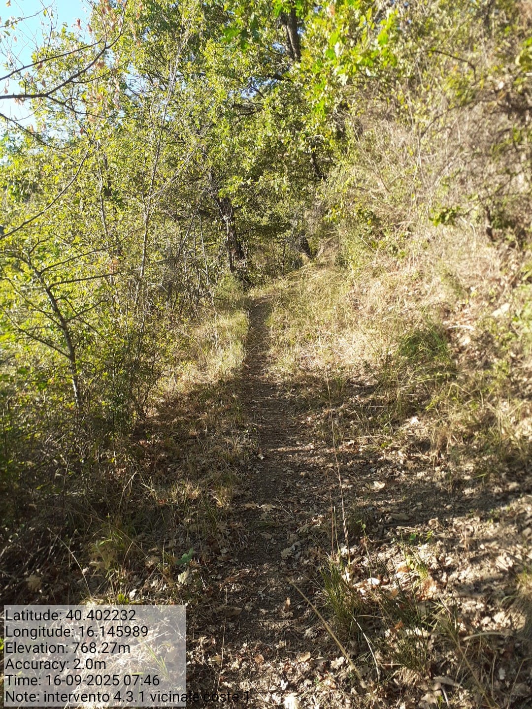 Galleria Fotografica Immagine