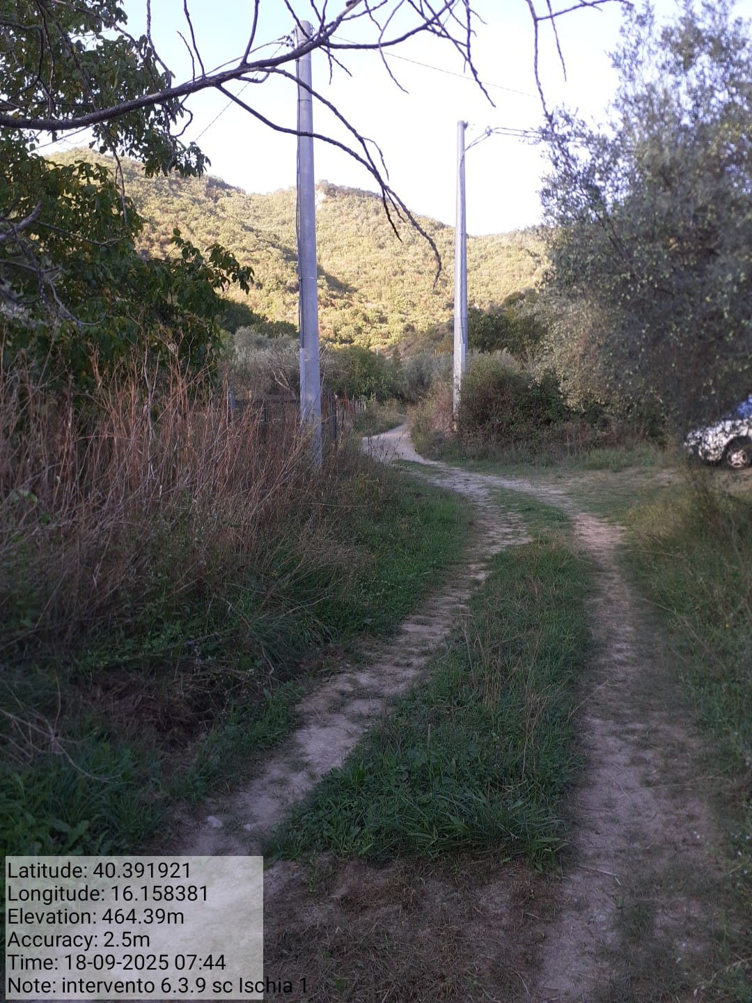 Galleria Fotografica Immagine