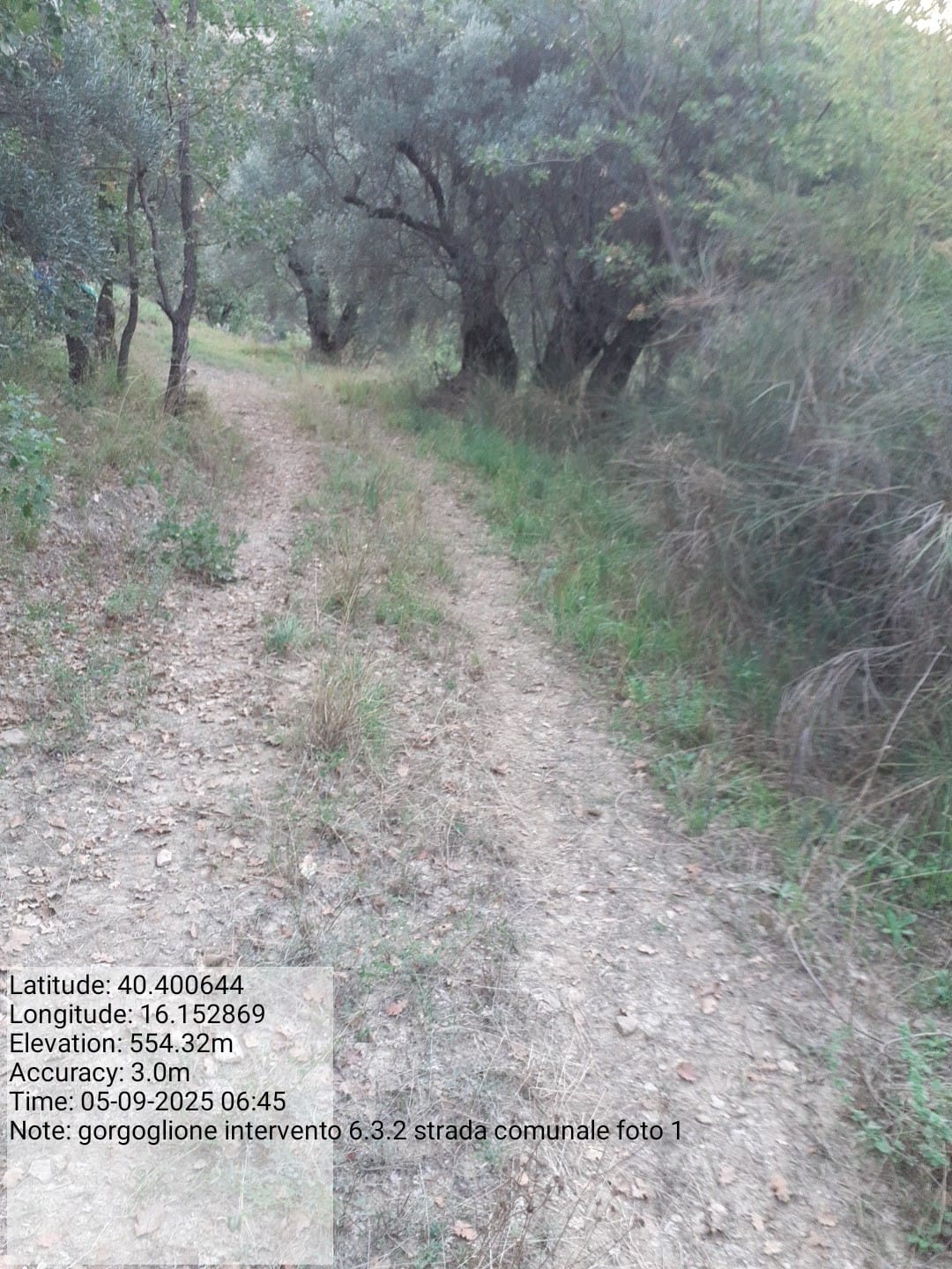 Galleria Fotografica Immagine