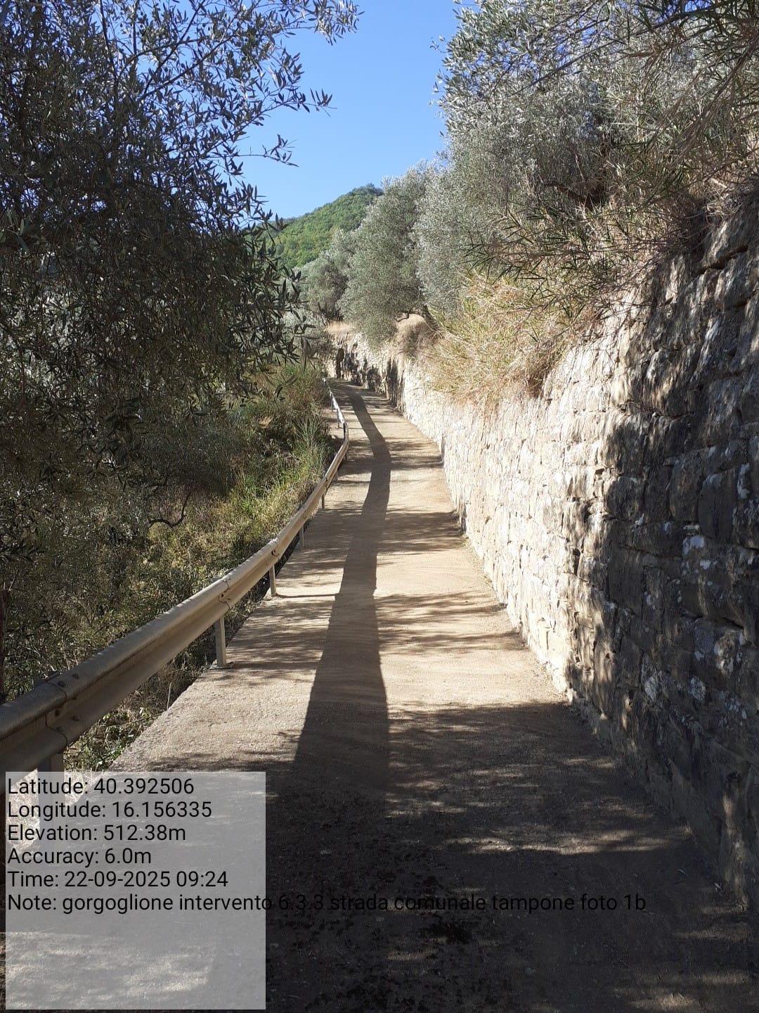 Galleria Fotografica Immagine