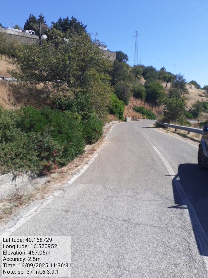 Galleria Fotografica Immagine