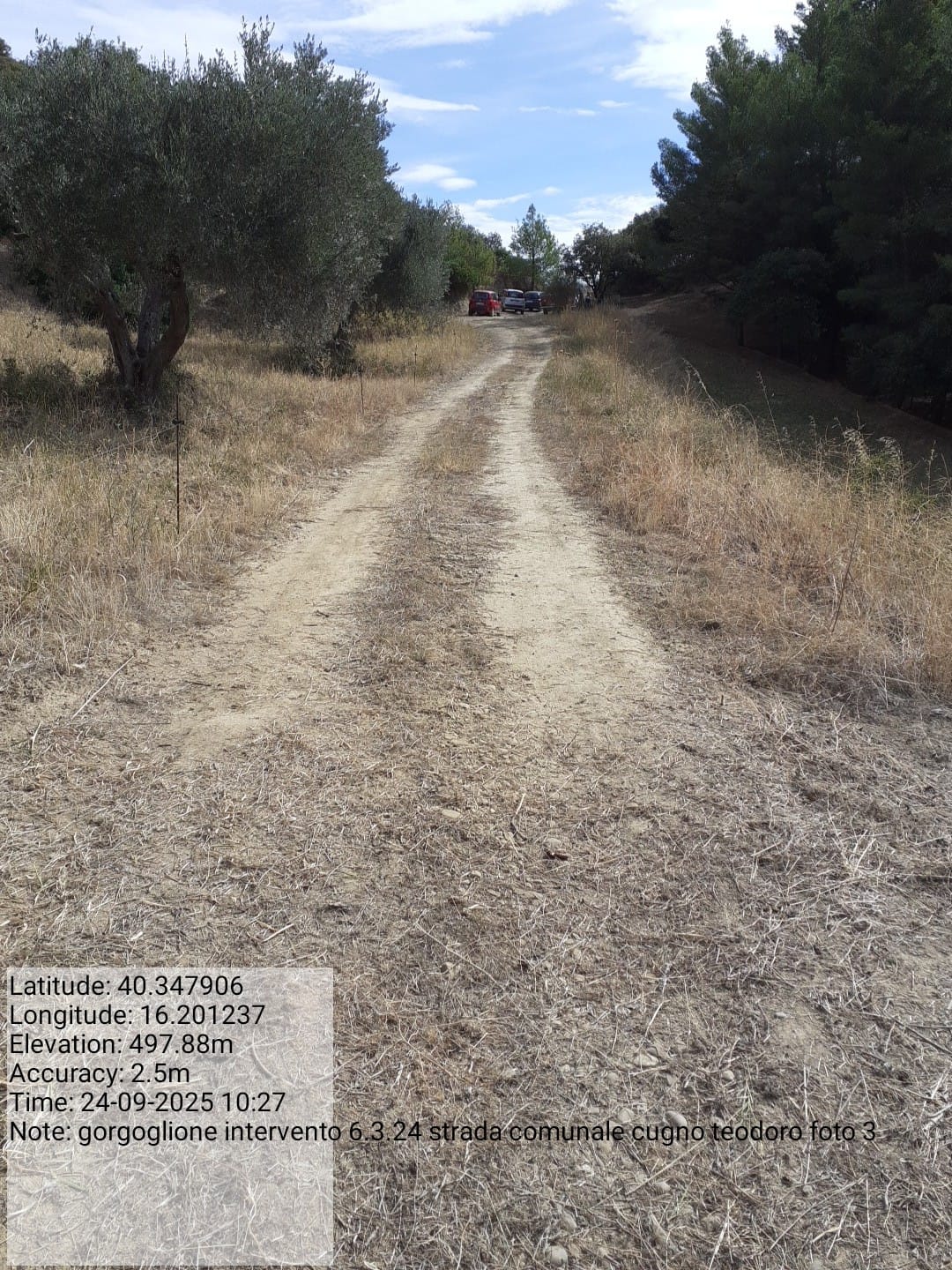 Galleria Fotografica Immagine