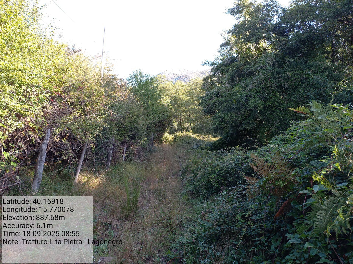 Galleria Fotografica Immagine