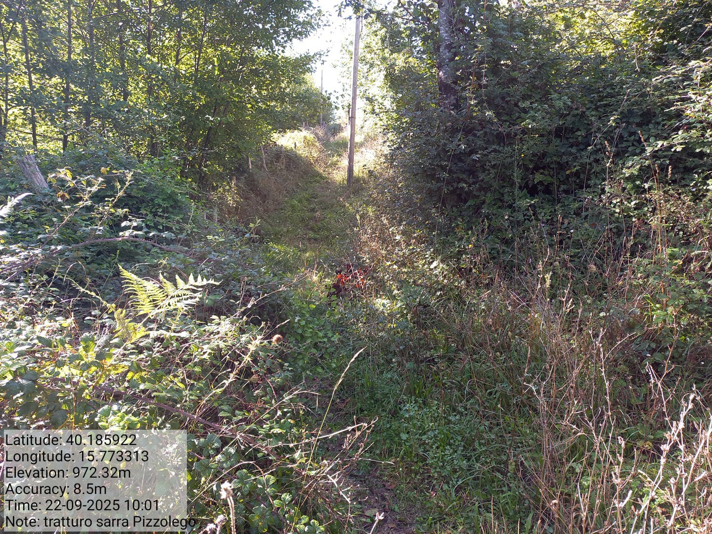 Galleria Fotografica Immagine