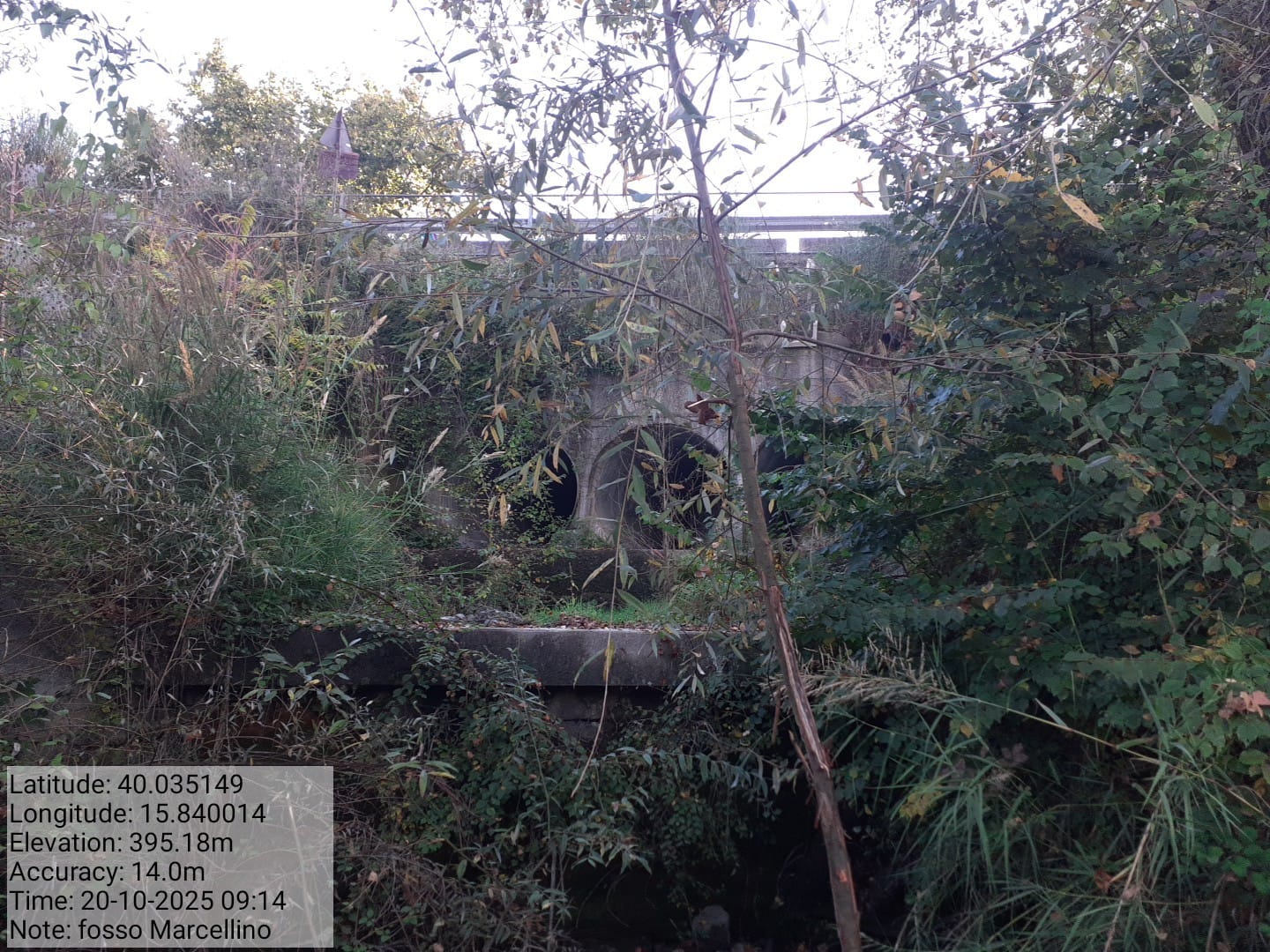 Galleria Fotografica Immagine