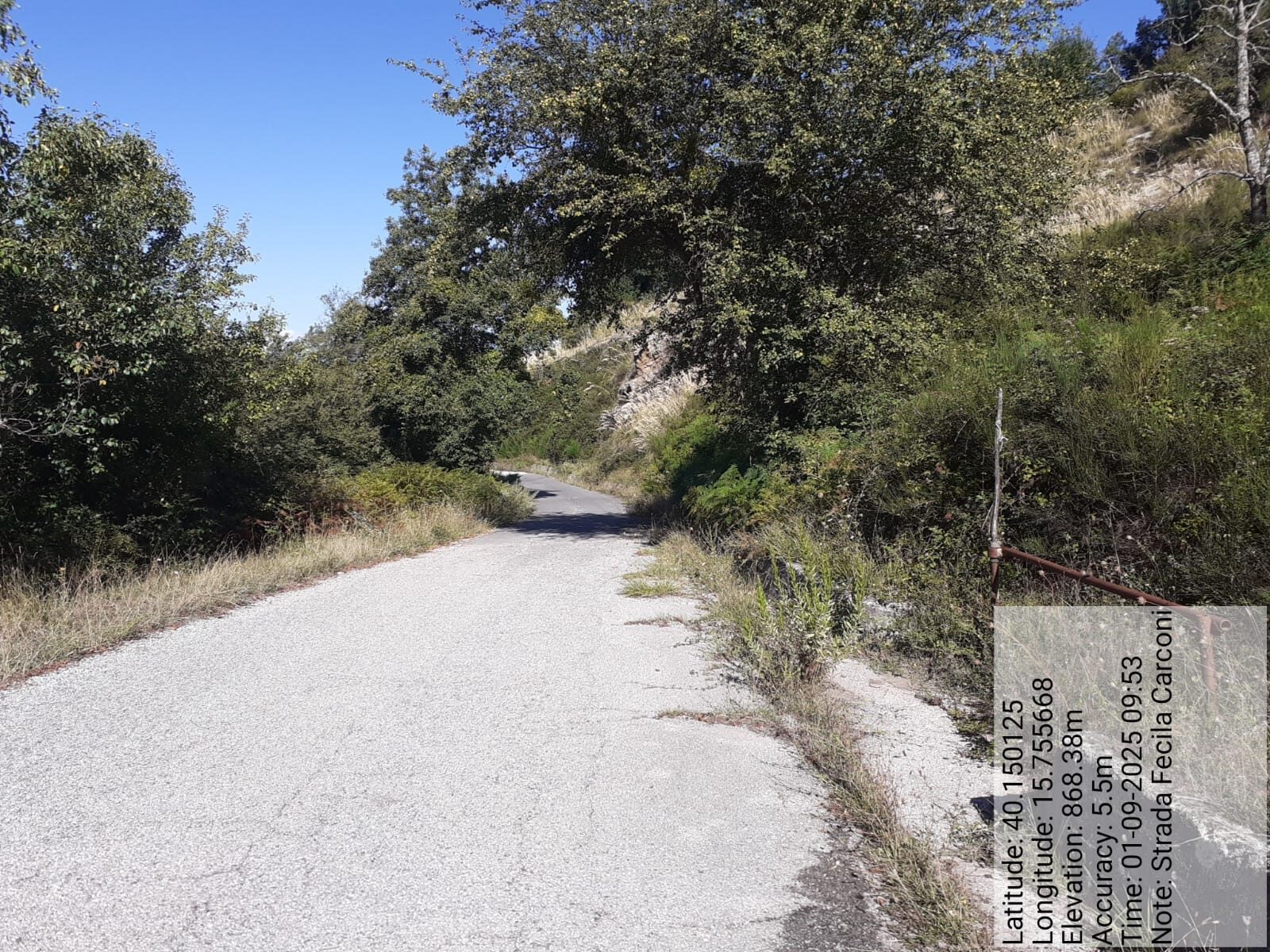 Galleria Fotografica Immagine