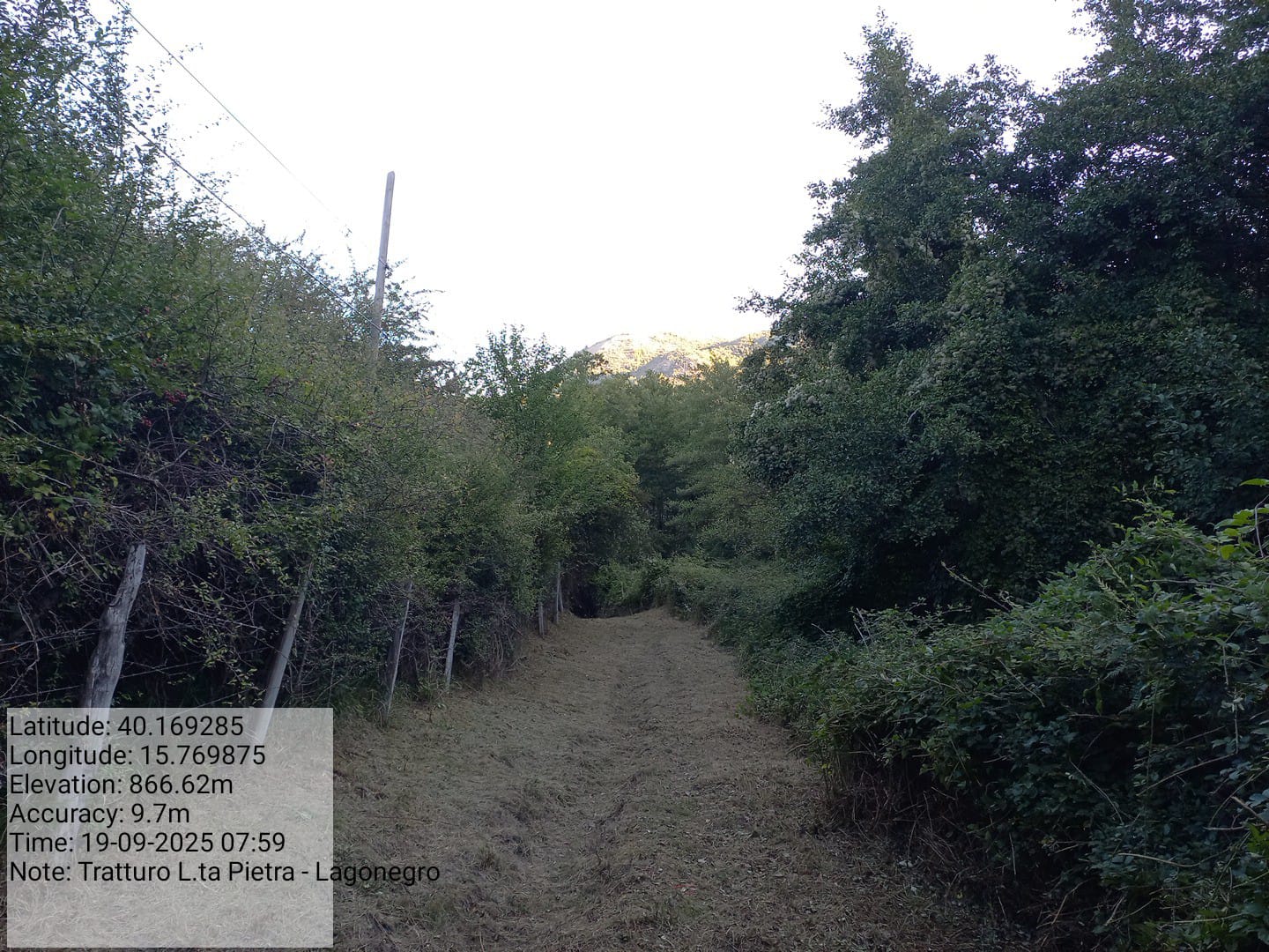 Galleria Fotografica Immagine