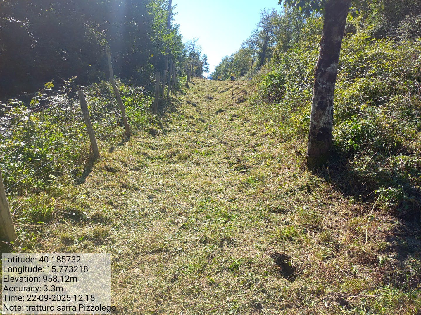 Galleria Fotografica Immagine