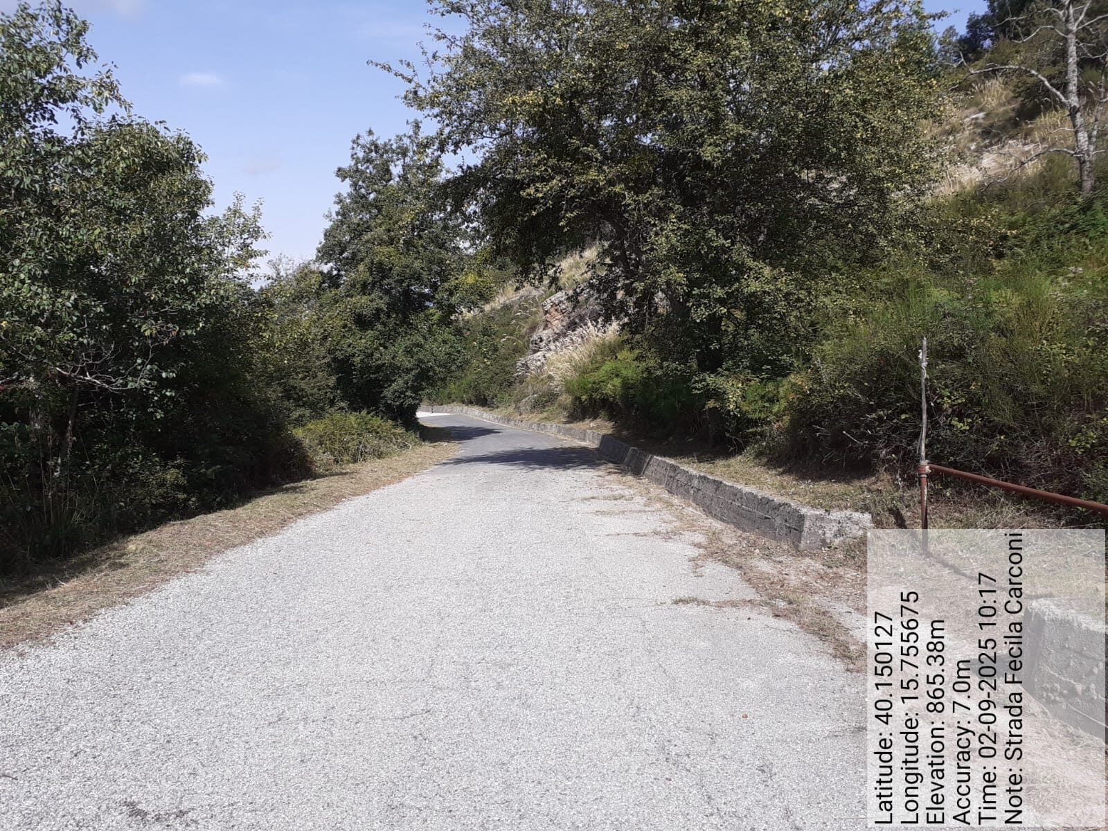 Galleria Fotografica Immagine