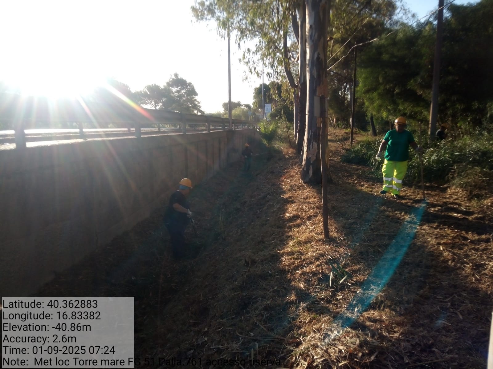 Galleria Fotografica Immagine