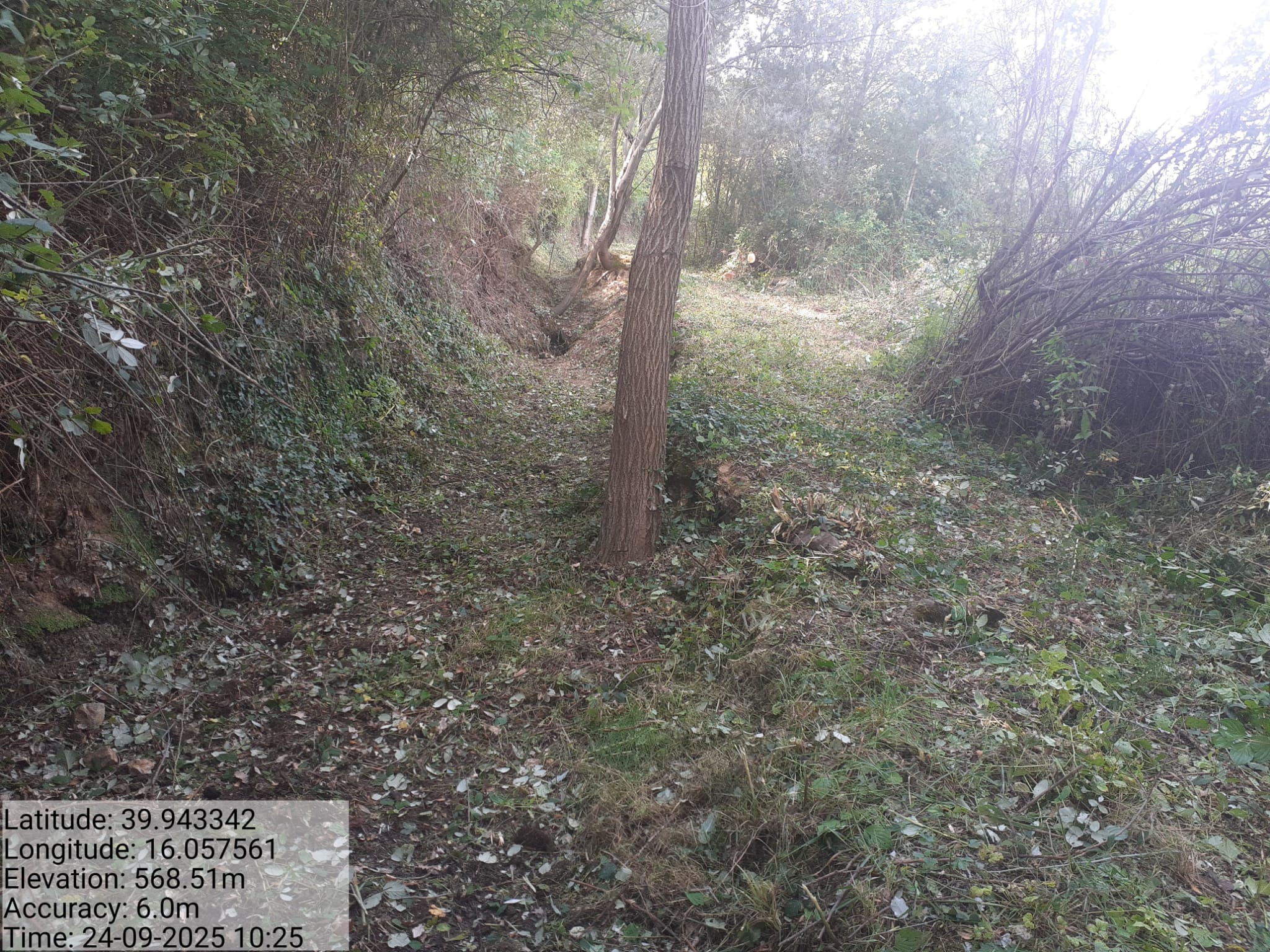 Galleria Fotografica Immagine