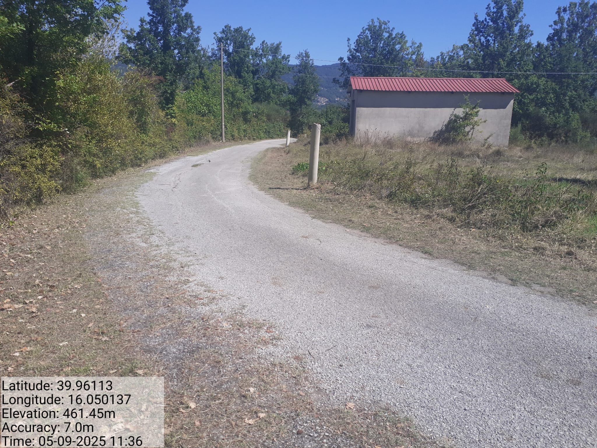 Galleria Fotografica Immagine