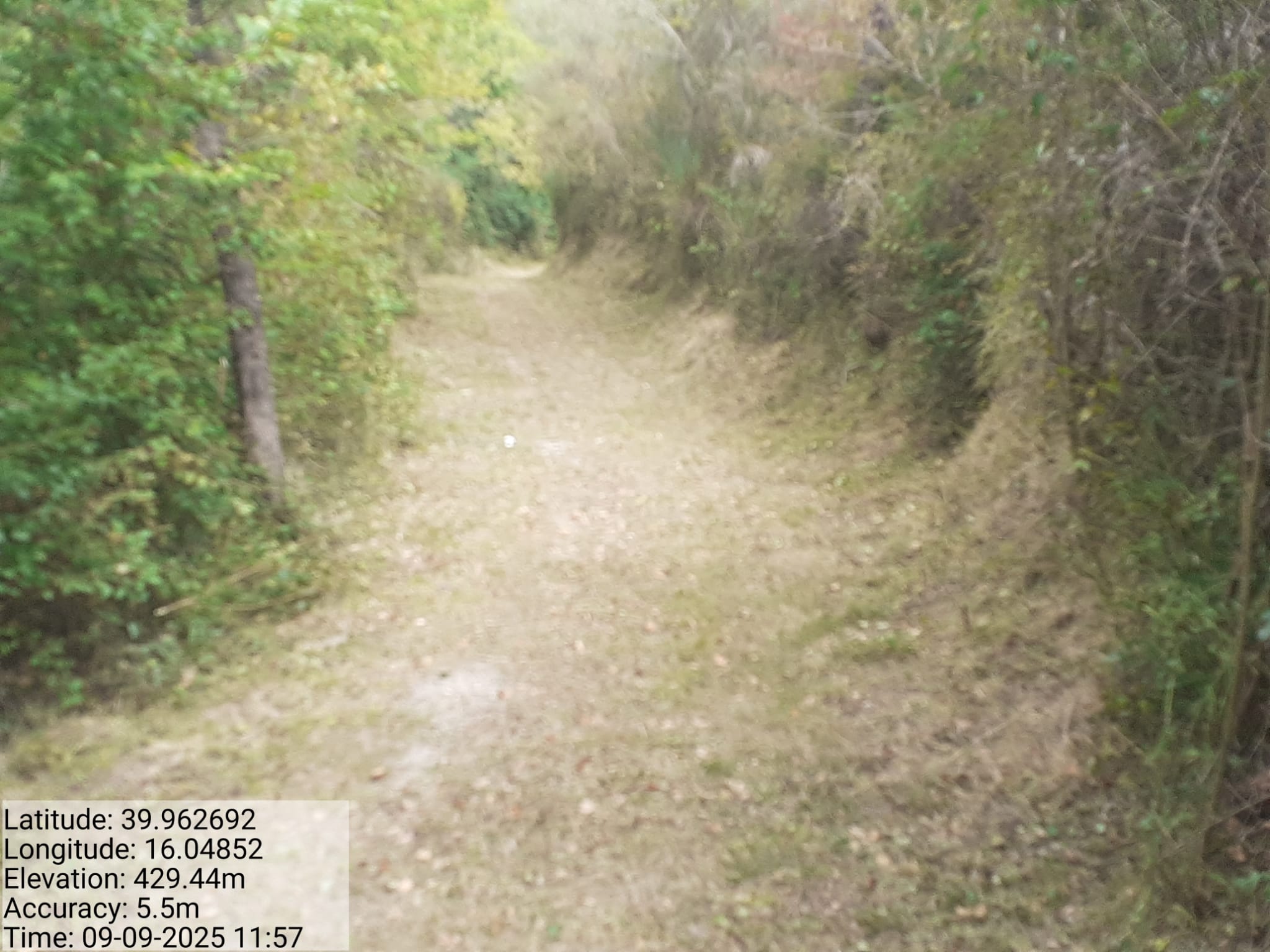 Galleria Fotografica Immagine