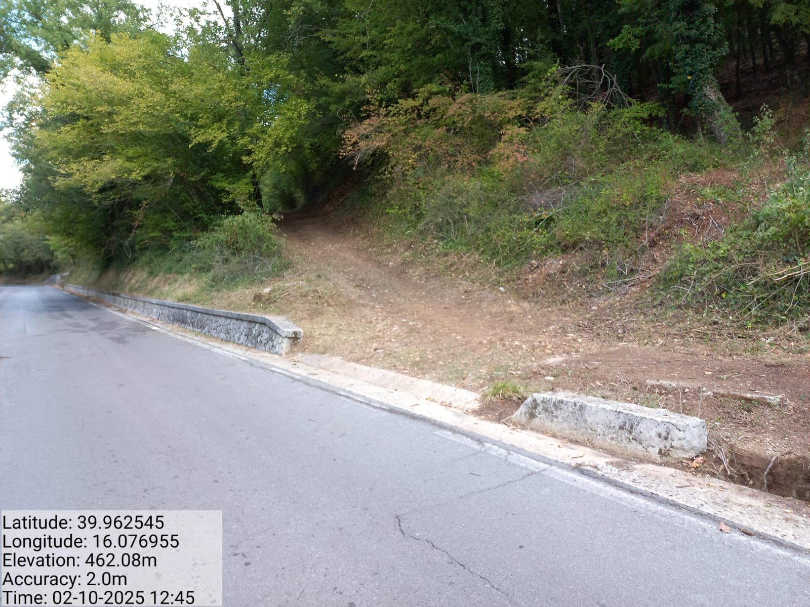 Galleria Fotografica Immagine