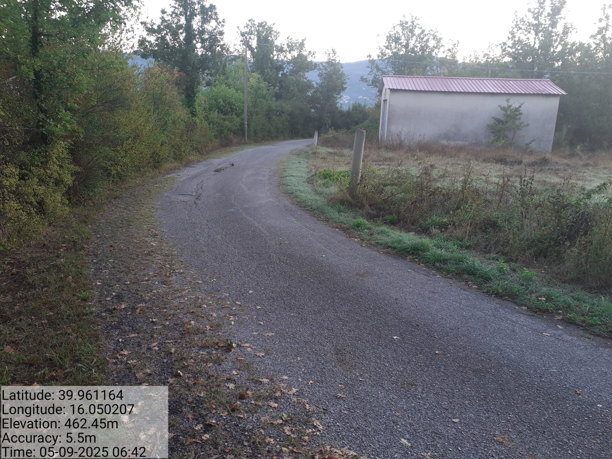 Galleria Fotografica Immagine