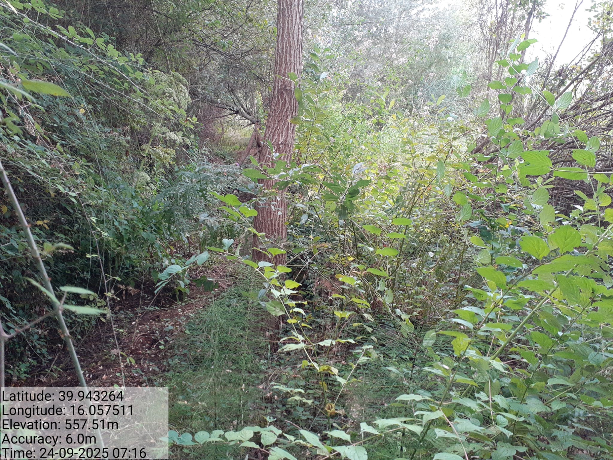 Galleria Fotografica Immagine