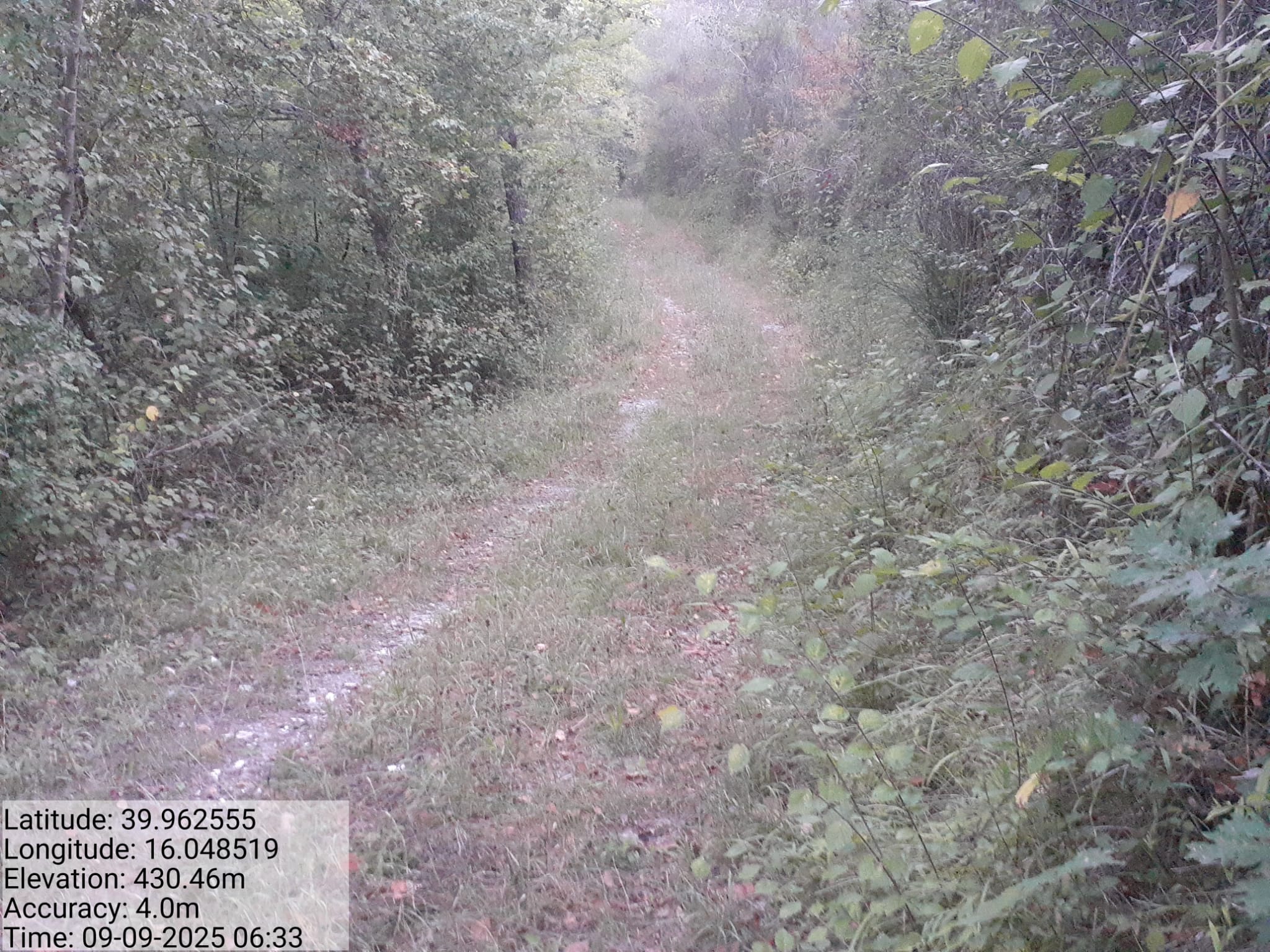 Galleria Fotografica Immagine