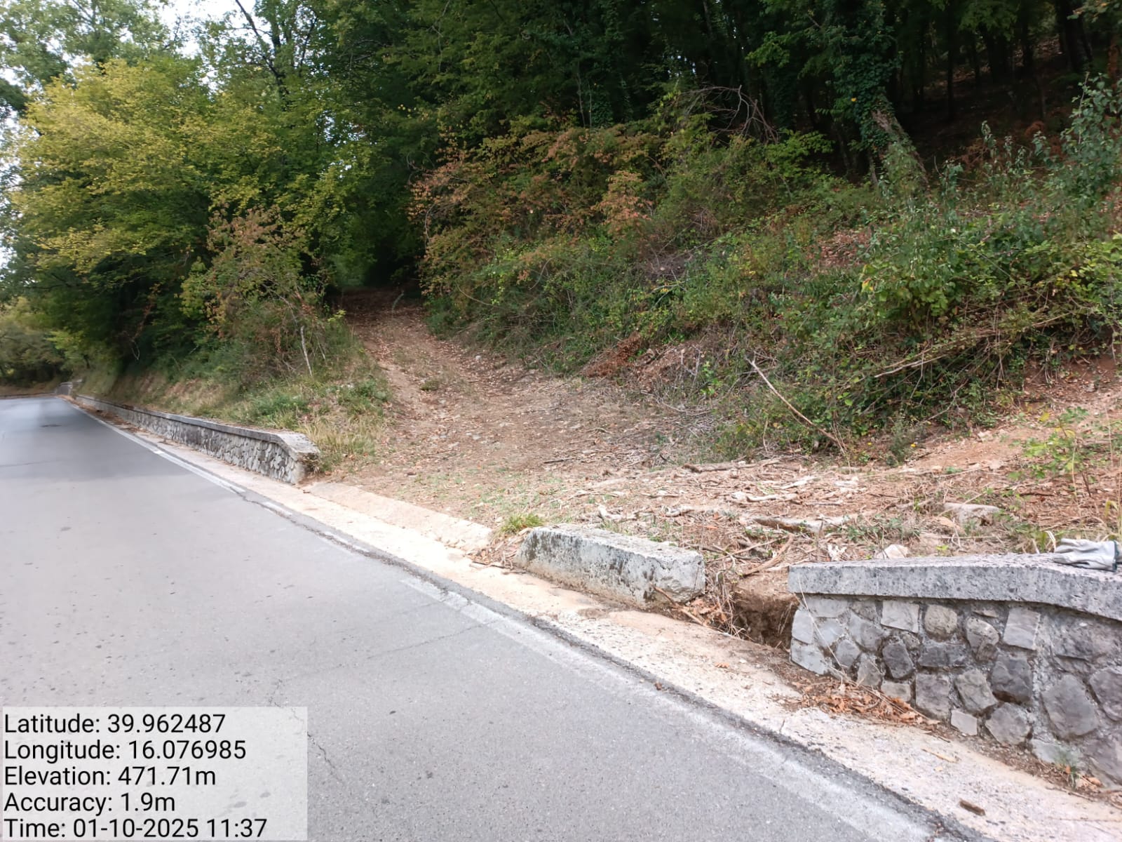 Galleria Fotografica Immagine