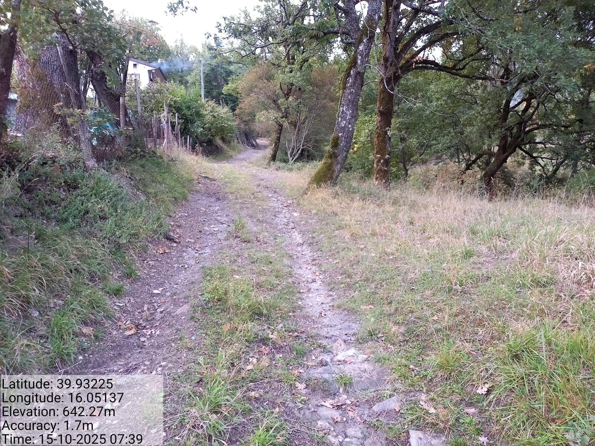 Galleria Fotografica Immagine