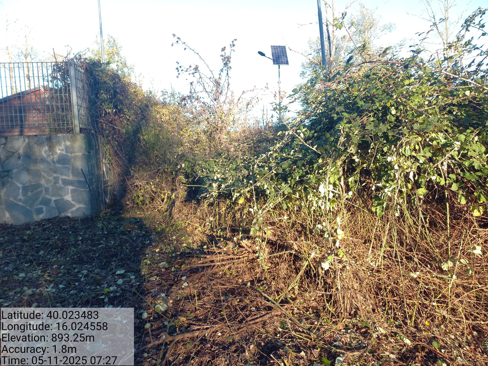 Galleria Fotografica Immagine