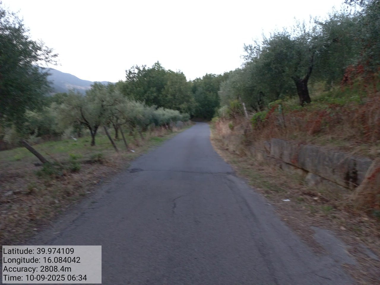 Galleria Fotografica Immagine