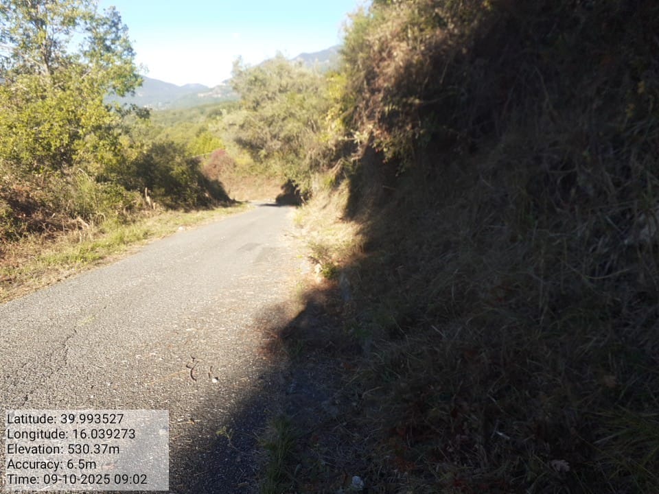 Galleria Fotografica Immagine