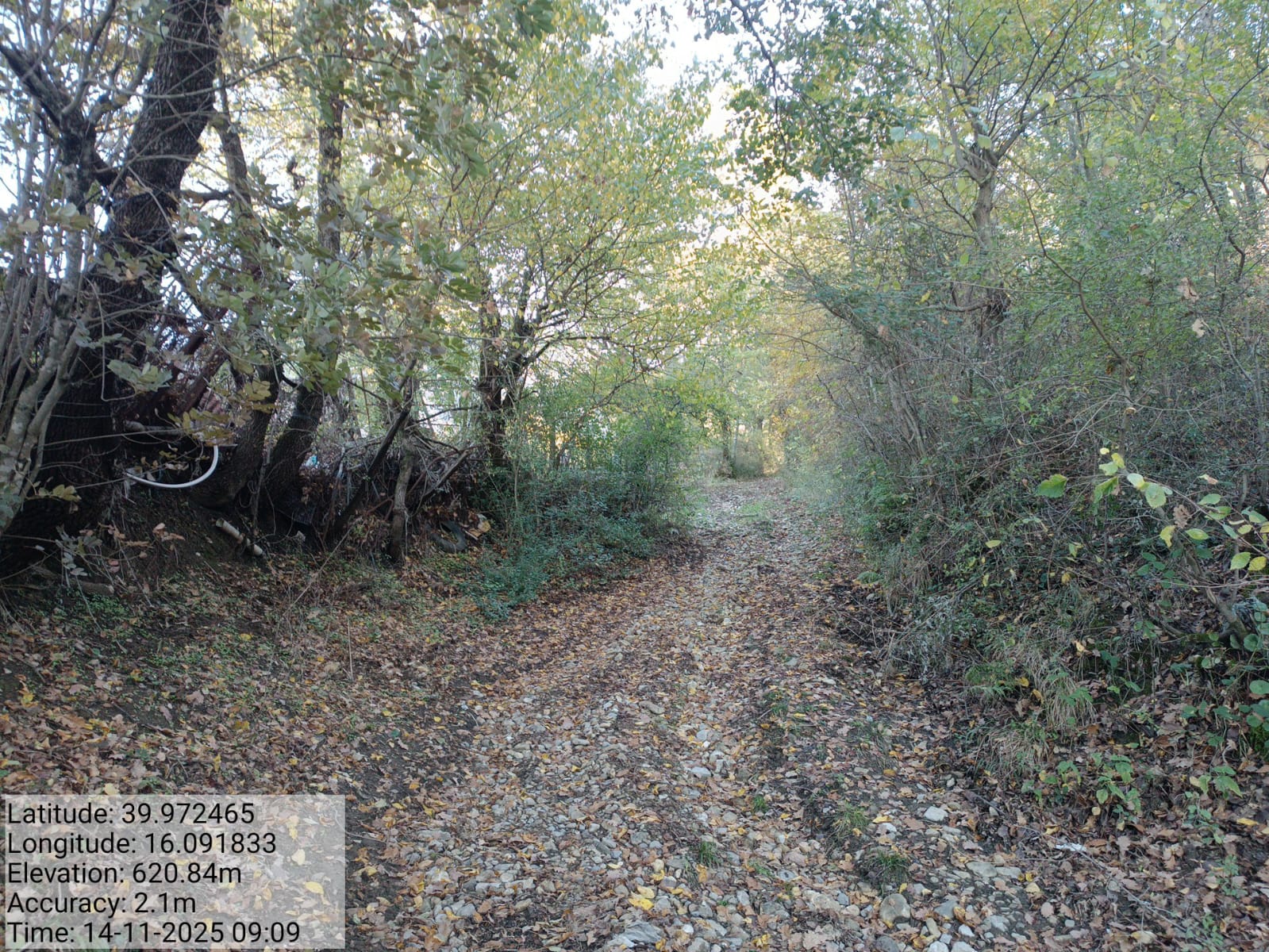 Galleria Fotografica Immagine