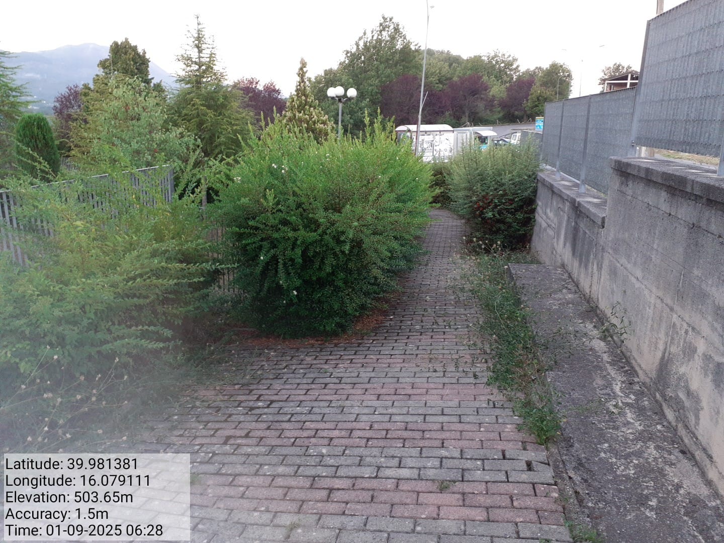 Galleria Fotografica Immagine