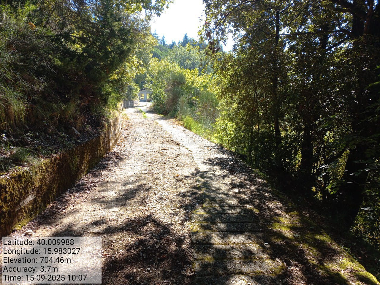 Galleria Fotografica Immagine