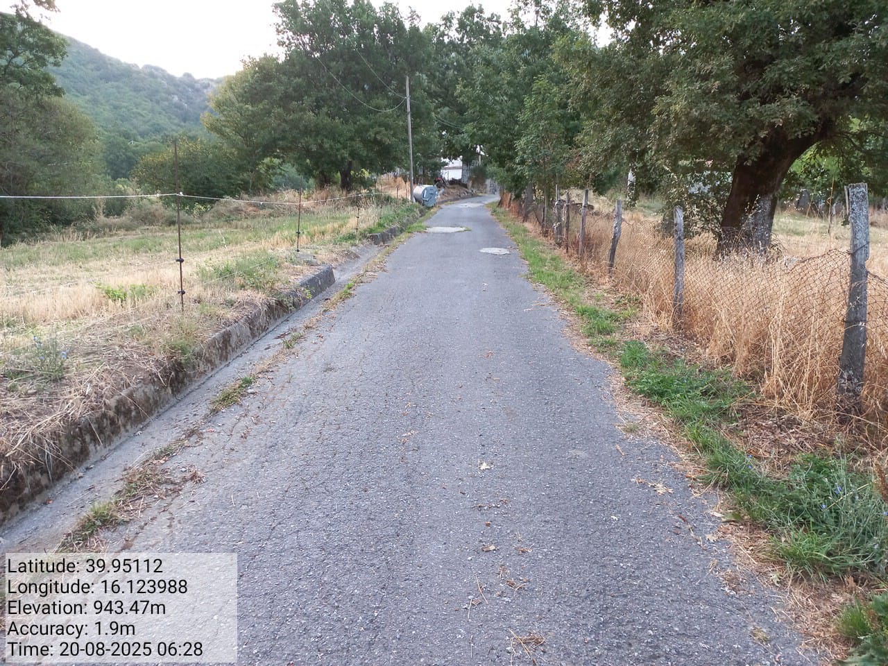 Galleria Fotografica Immagine