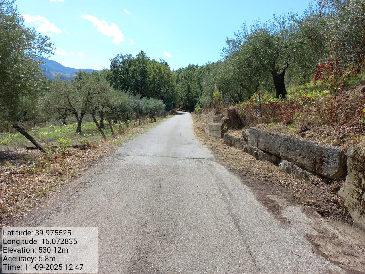 Galleria Fotografica Immagine