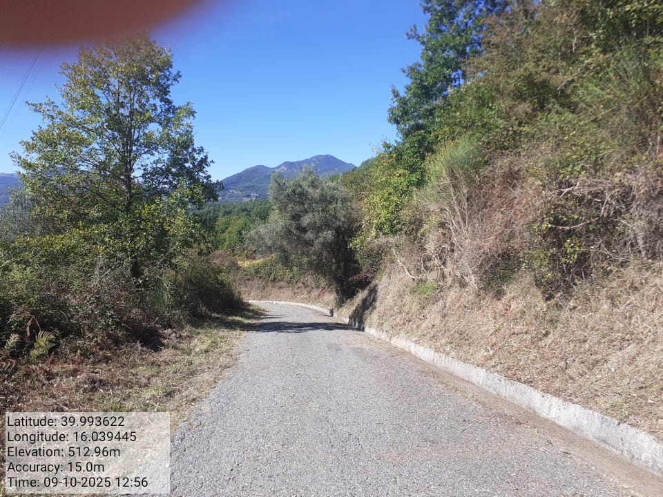 Galleria Fotografica Immagine