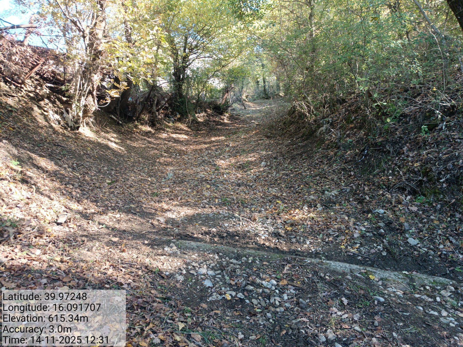 Galleria Fotografica Immagine