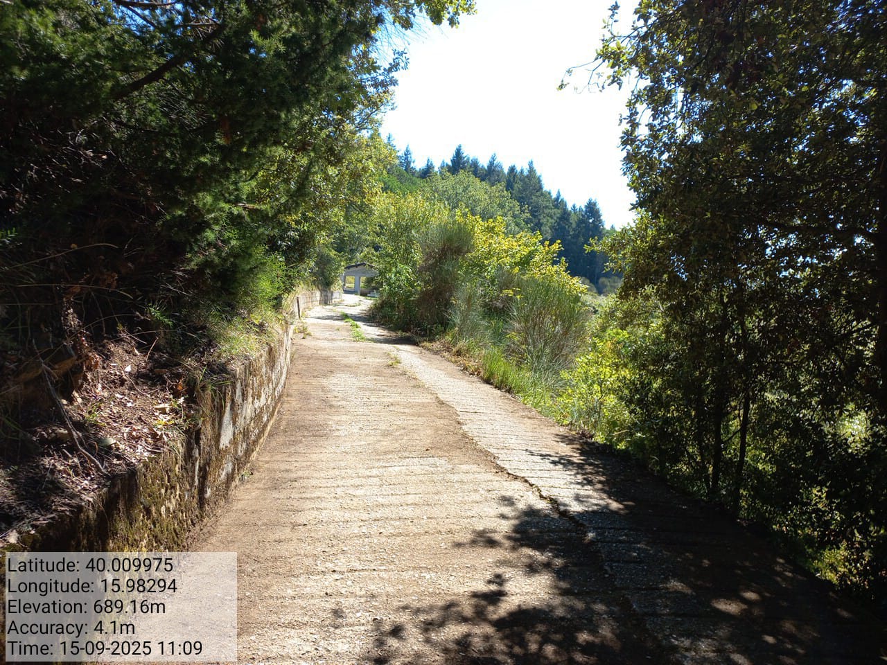 Galleria Fotografica Immagine