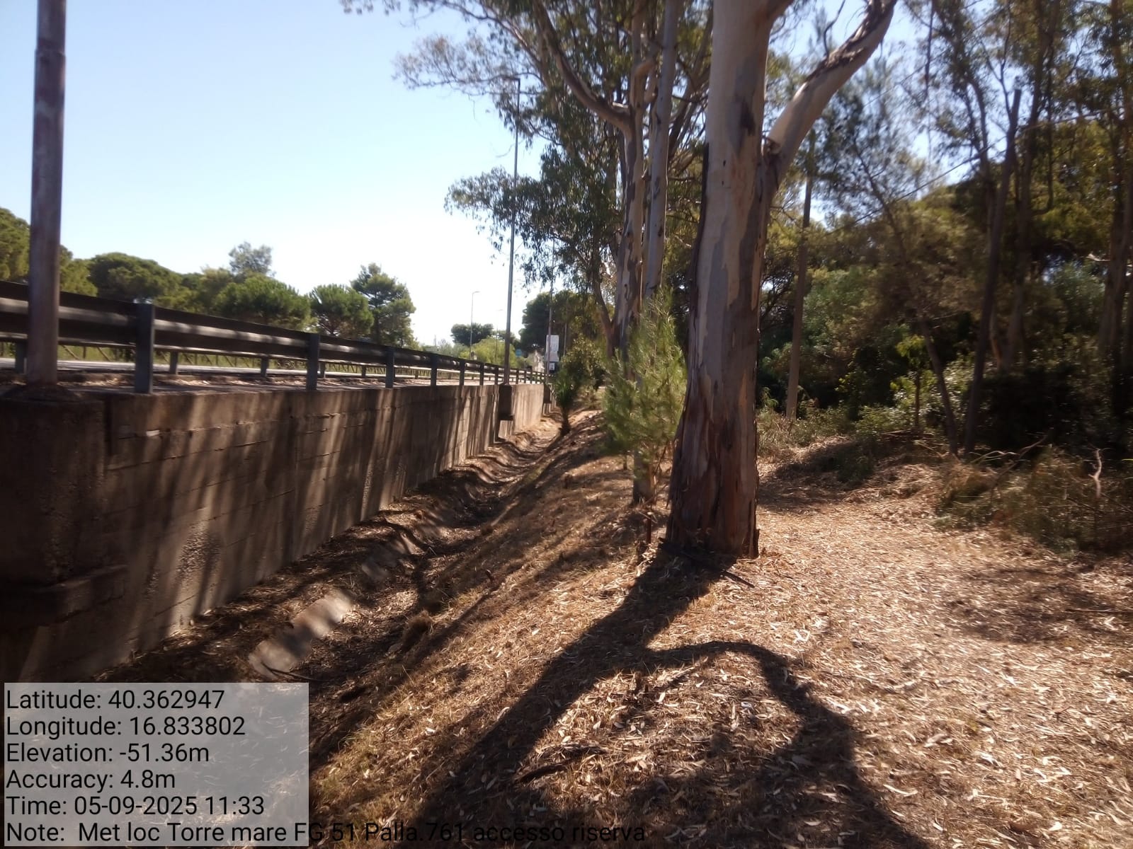 Galleria Fotografica Immagine