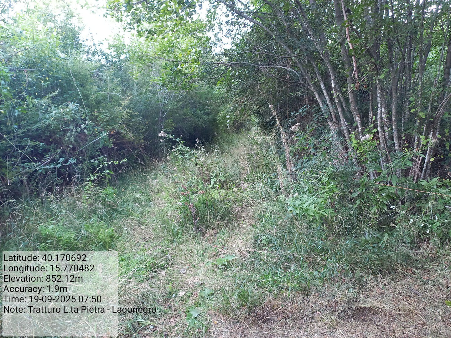 Galleria Fotografica Immagine