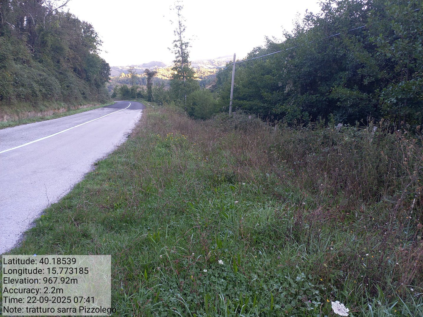 Galleria Fotografica Immagine