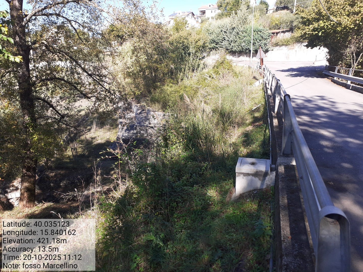 Galleria Fotografica Immagine