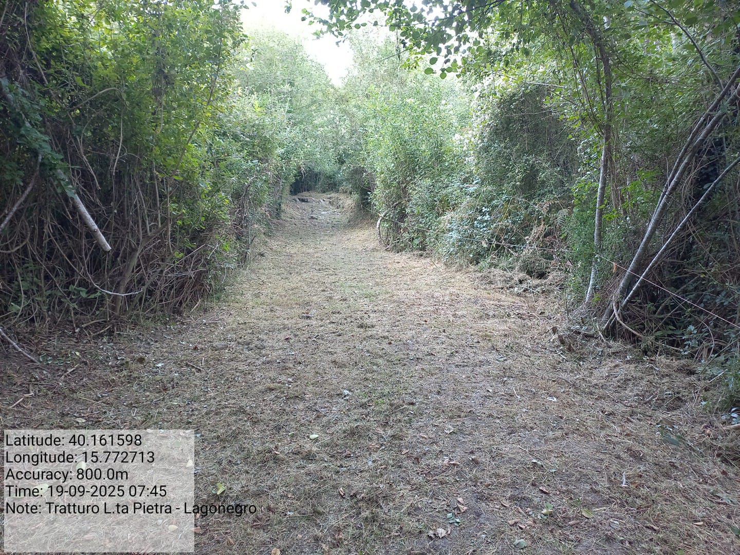 Galleria Fotografica Immagine