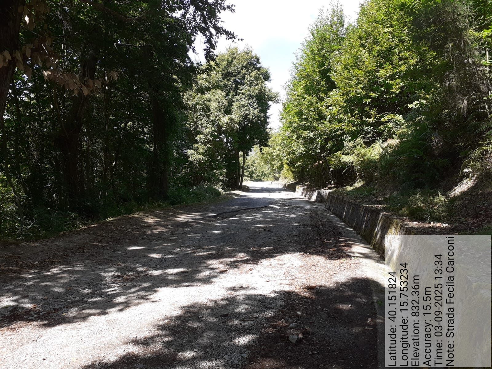 Galleria Fotografica Immagine