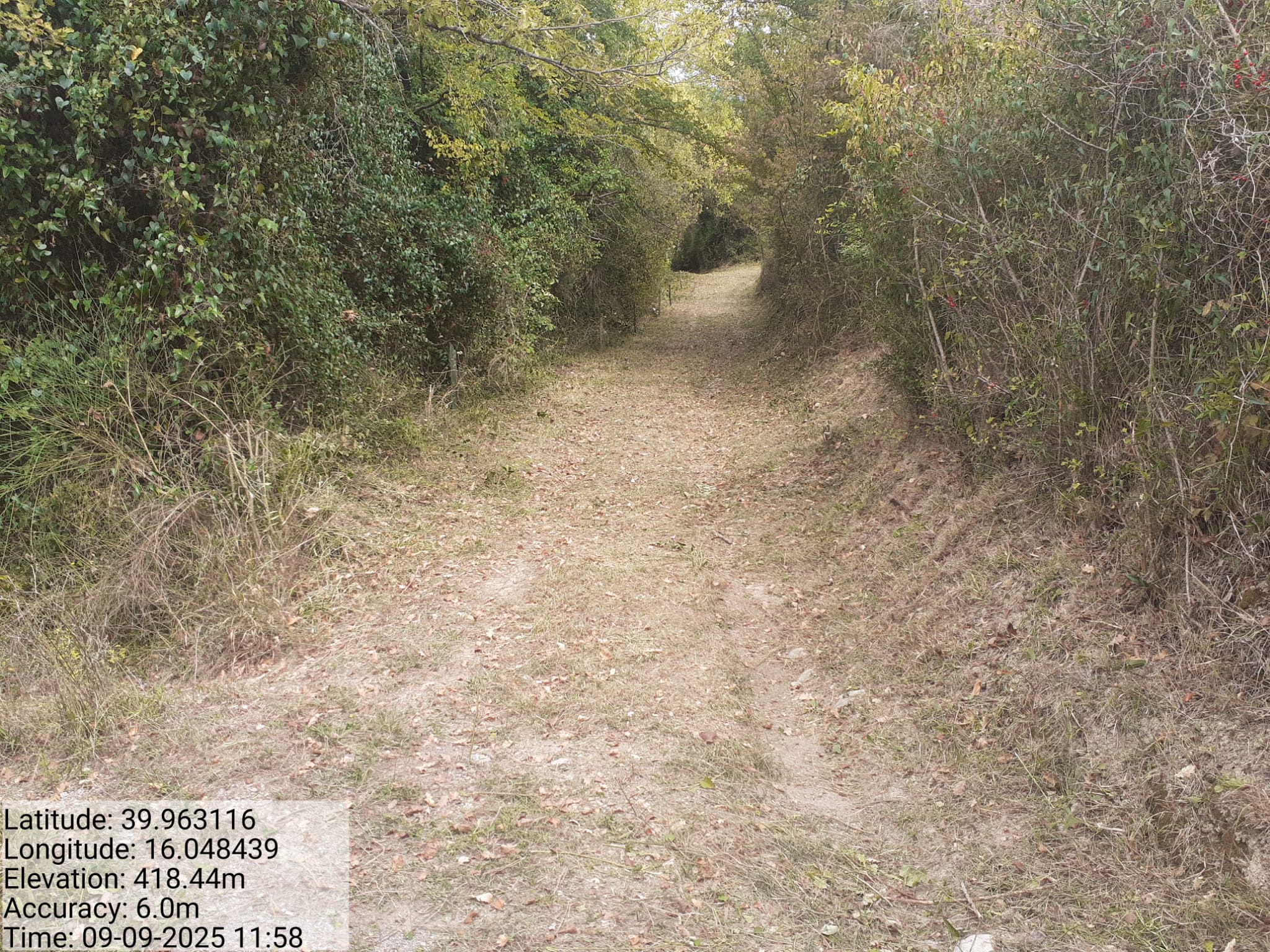 Galleria Fotografica Immagine