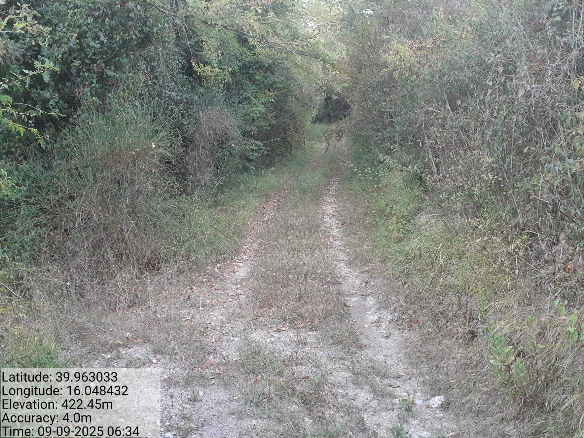 Galleria Fotografica Immagine