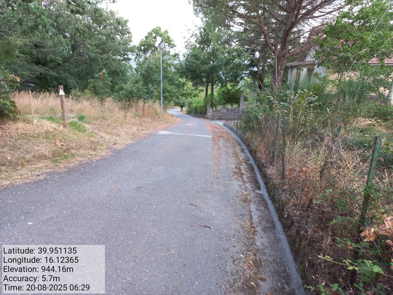 Galleria Fotografica Immagine