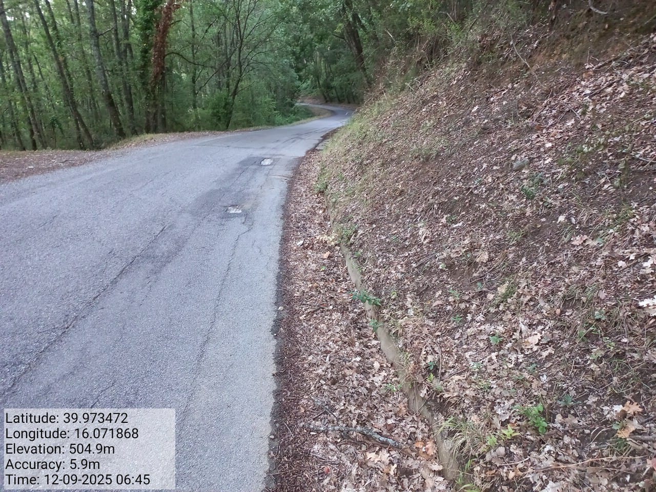 Galleria Fotografica Immagine